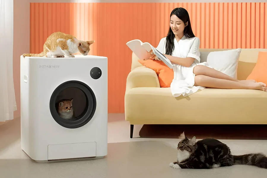 litter house for cats